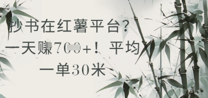 抄书在小红薯平台？平均一单30米，一天收益几张！福源云-中创网_分享创业资讯_福源创业网,中创网,冒泡创业网,中赚网论坛_中创网福源创业网,中创网,冒泡创业网,中赚网论坛中创网了最新的创业项目，副业赚钱，助力网络赚钱创业,中赚网!福源云项目网