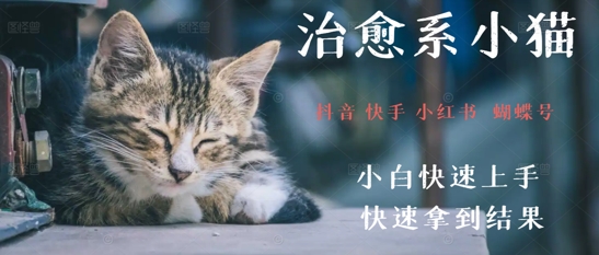 拆解，疯狂火爆！抖音，小红书，视频号小猫治愈的视频，轻松制作+快速拿到结果福源云-中创网_分享创业资讯_福源创业网,中创网,冒泡创业网,中赚网论坛_中创网福源创业网,中创网,冒泡创业网,中赚网论坛中创网了最新的创业项目，副业赚钱，助力网络赚钱创业,中赚网!福源云项目网